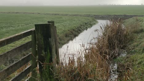 steady shot of a ditch in the netherlands during foggy damp weather in autumn