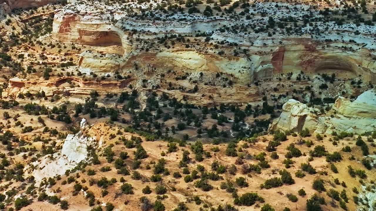 Mojave-aavikon maisema esittelee ainutlaatuisia kalliomuodostelmia ja kasvillisuutta.