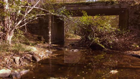 Imágenes-De-Drones-Bajos-Sobre-Un-Pequeño-Río-En-Otoño-4