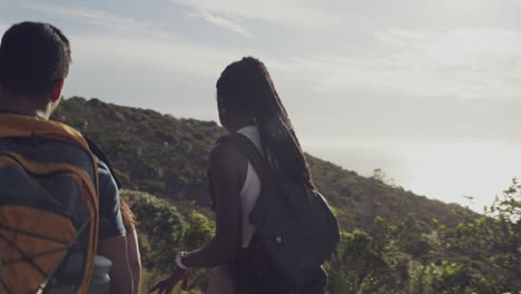 hikers enjoying a scenic mountain trail