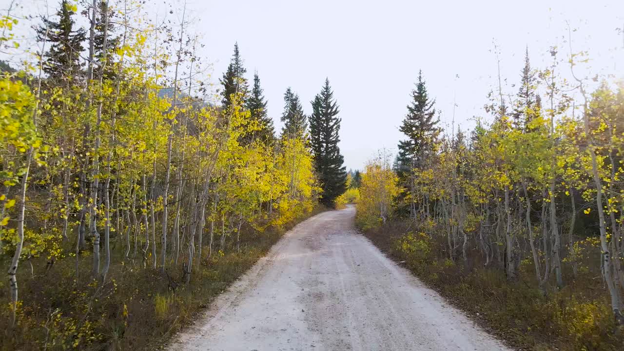 미국 유타에서 가을 시즌에 노란색 단풍이 있는 아스펜 나무로 둘러싸인 와새치 산맥의 산악 도로