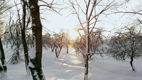 aerial flight of a winter forest. flying over the snowy forests of the sun sets orange over the white trees