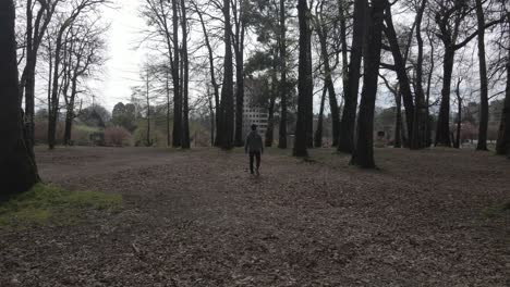 smooth follow of man walking through the woods by himself