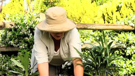 mujer madura jardinería