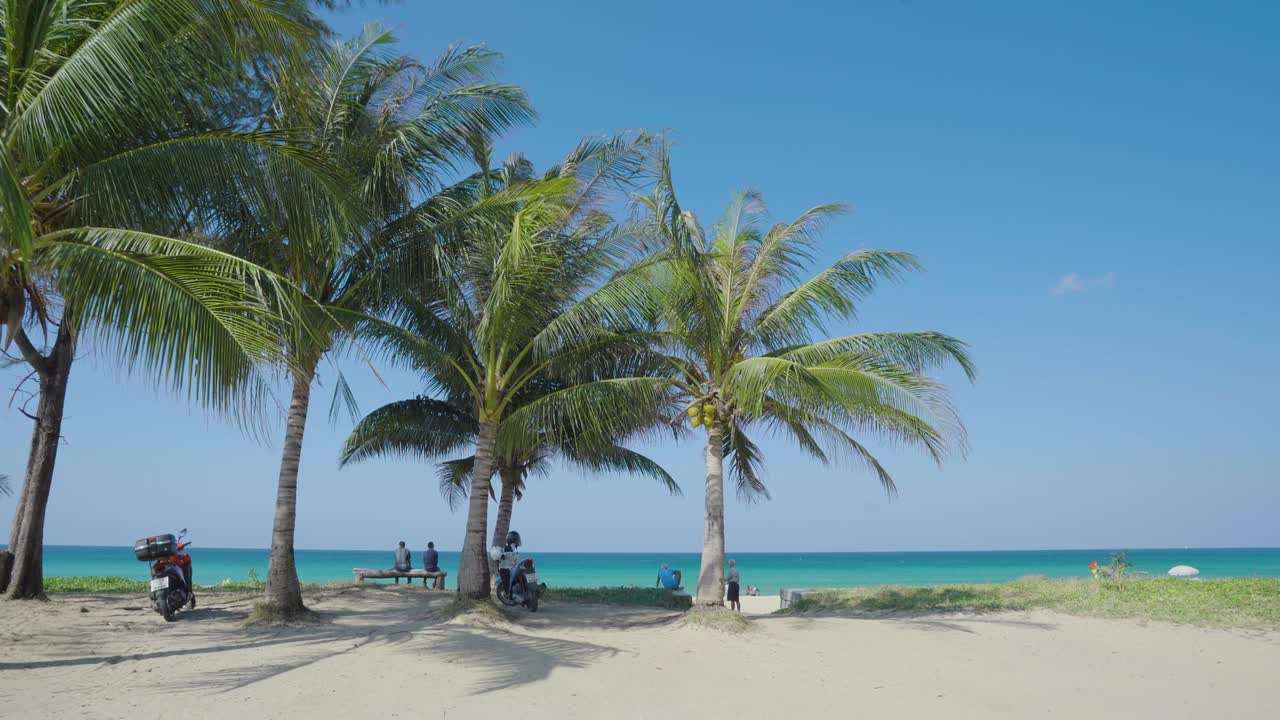 vista panorámica de la playa tropical vacía y las palmeras de coco contra el cielo azul de hawai.