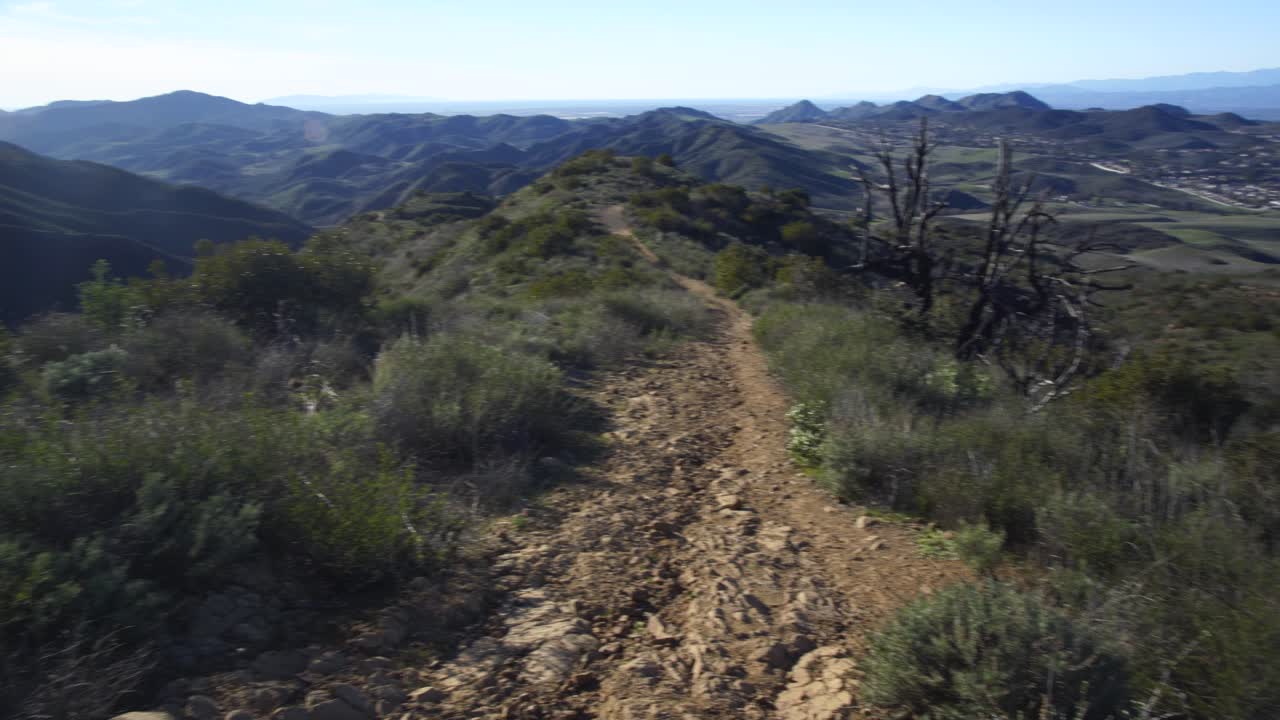 fauna del parque nacional boney mountain, california. enero 2019
