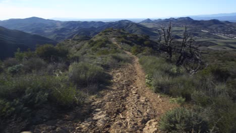 boney mountain national park wildlife, california. january 2019