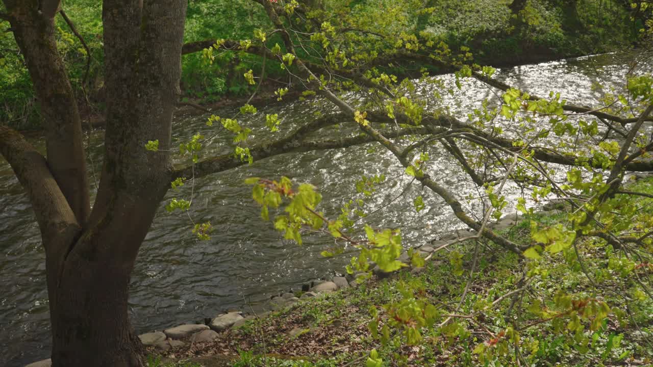 리투아니아 빌니우스 의 빌니아 강
