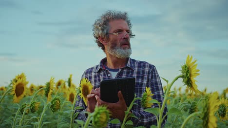 farmer using tablet in sunflower field