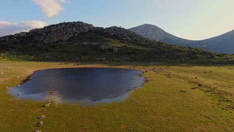 Pequeño-Lago-En-Un-Prado-Verde-En-Grecia-Con-Animales-Pastando