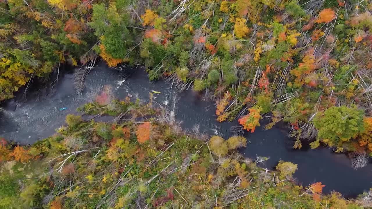 Kayakers paddle down river in autumn forest - direct overhead truck left