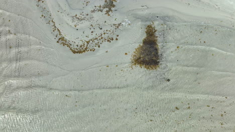 Top-down-Aerial-view-of-a-beach-with-rippling-sand-patterns-and-seaweed-clusters