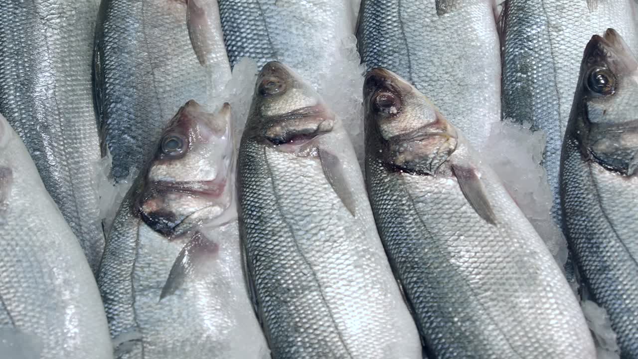 Fresh Whole Fish Displayed on Ice at a Market