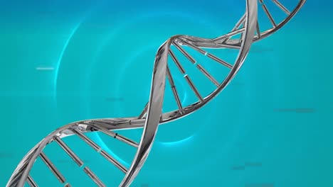 Animation-of-dna-strand-over-circles