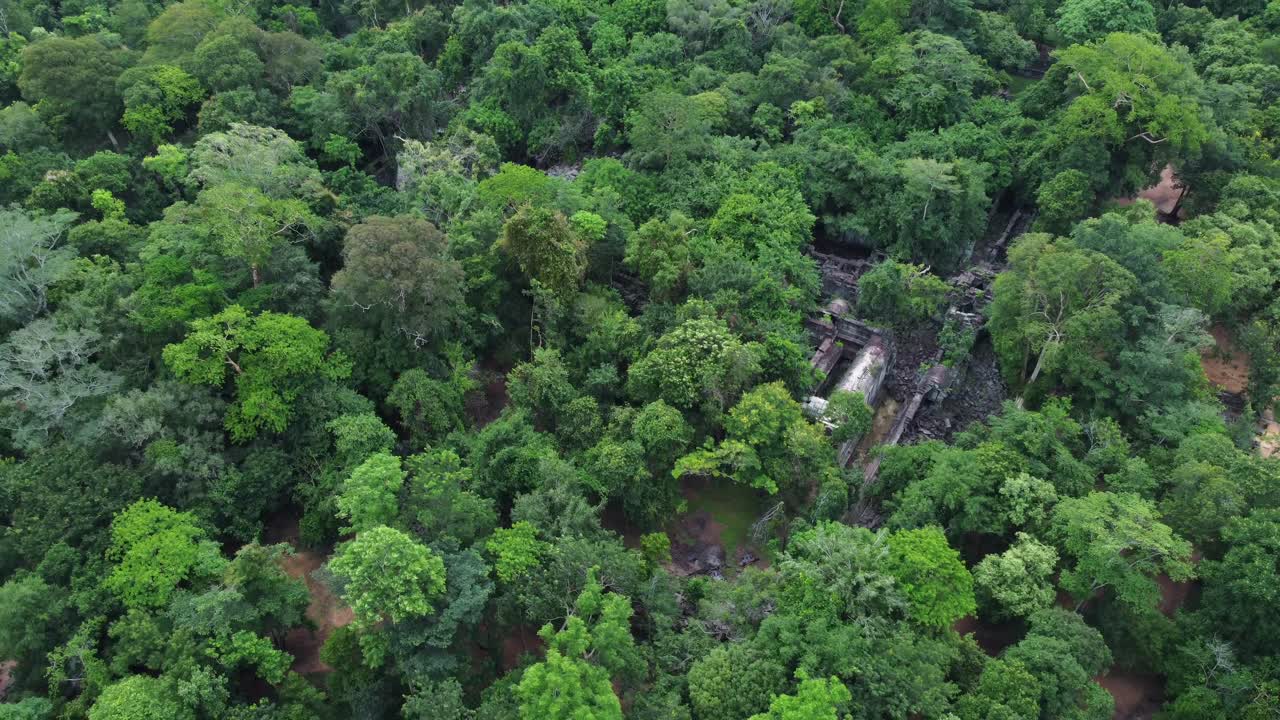 태국 메홍손 지방에 있는 종교 건축물인 마엘라 성전 유적의 조류 관측
