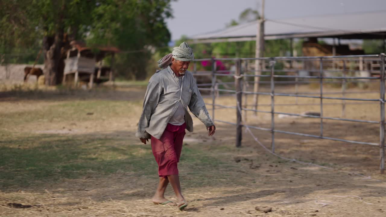 An older man walking through a rural farm landscape
