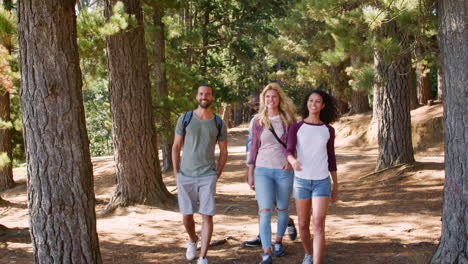 children running ahead of parents on family hiking adventure