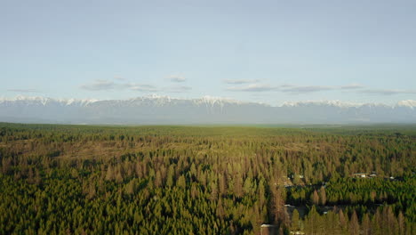 Los-árboles-De-Hoja-Perenne-Al-Atardecer-Se-Extienden-Por-Millas-Hacia-Las-Montañas-Rocosas