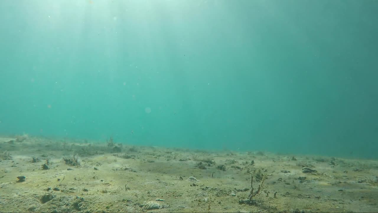 fondos marinos poco profundos con luz solar, florida