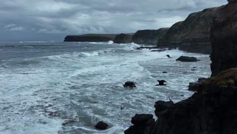 Birds-flying-from-perch-over-waves-towards-cliffs