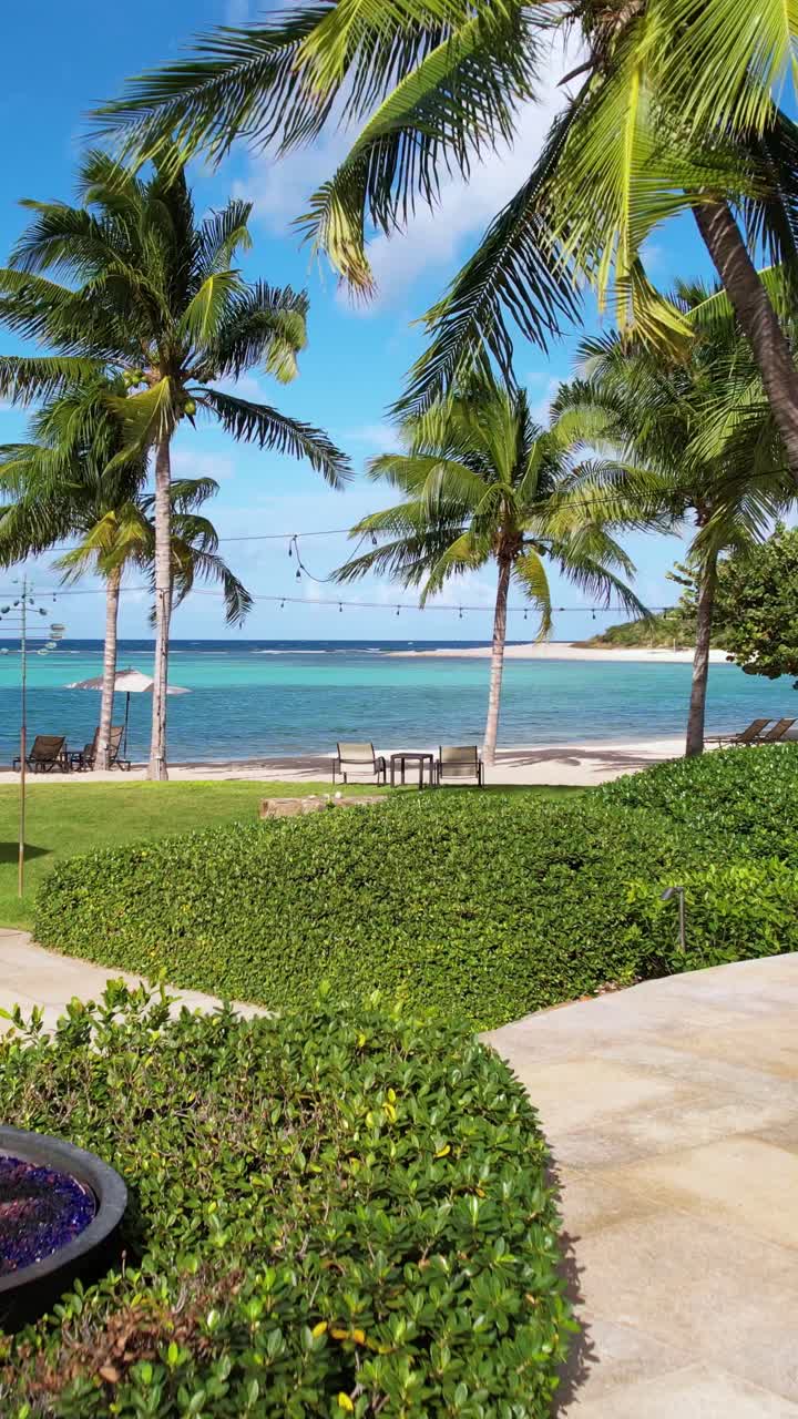 disparo vertical de drone, playa de arena, palmeras, hierba y piscina de un complejo de lujo