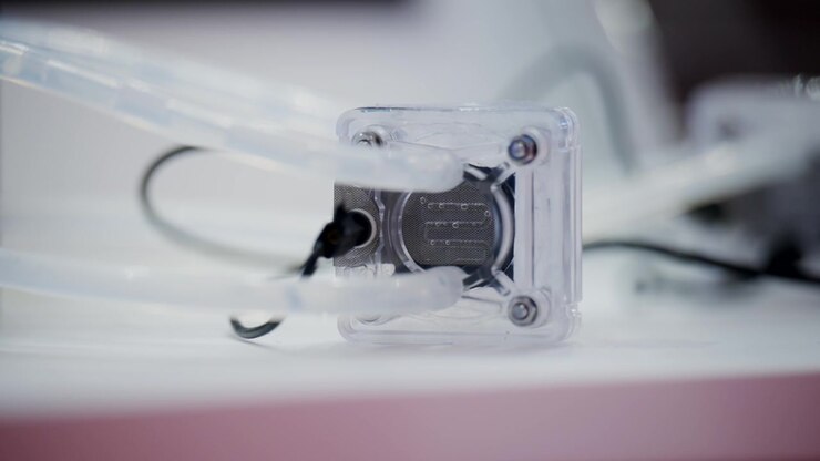 Scientific hydrogen production experiment with clear tubing and illuminated reactor chamber during renewable energy development process
