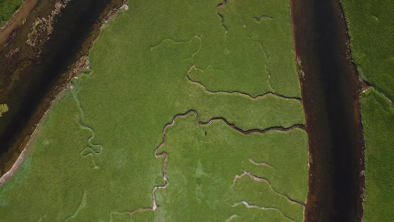 aérea: delta del estuario del río, patrón tributario