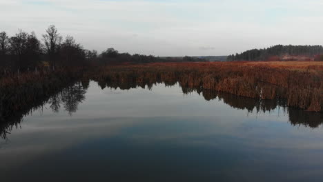 drone footage flying at low altitude over wetland with reeds on both sides