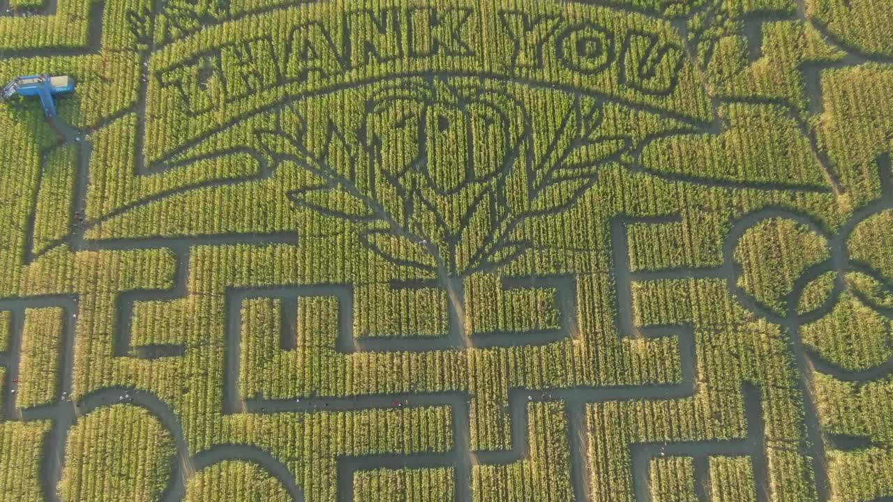 세계 기록 기네스북 캘리포니아 딕슨에서 가장 큰 옥수수 미로 드론 보기 감사 메시지