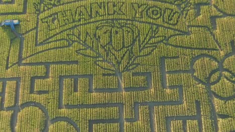 guinness book of world records largest corn maze in dixon california drone view of thank you message