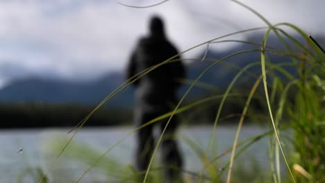 blurry person stands alone in nature, focus on tall grass in foreground