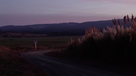 sunset in new zealand in a farm field during golden hour with red sky