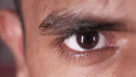 detail shot of young man eye