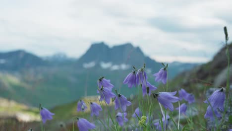 Breidtinden-Mountain-Seen-From-Grytetippen-In-Fjordgard,-Norway