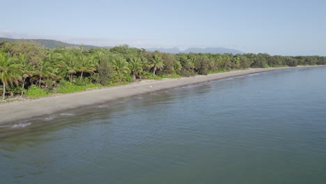 long stretches of sand at four mile beach in port douglas, queensland, australia - aerial drone shot