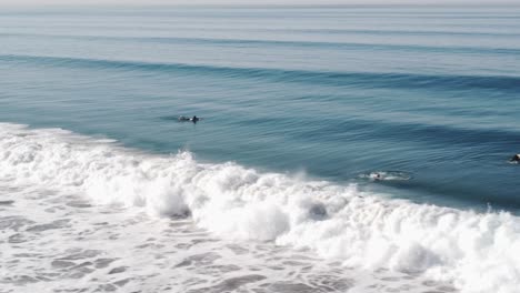 a beautiful aerial drone shot, drone tracking surfers swimming with their surfboards in the ocean preparing for a wave, carlsbad state beach - california