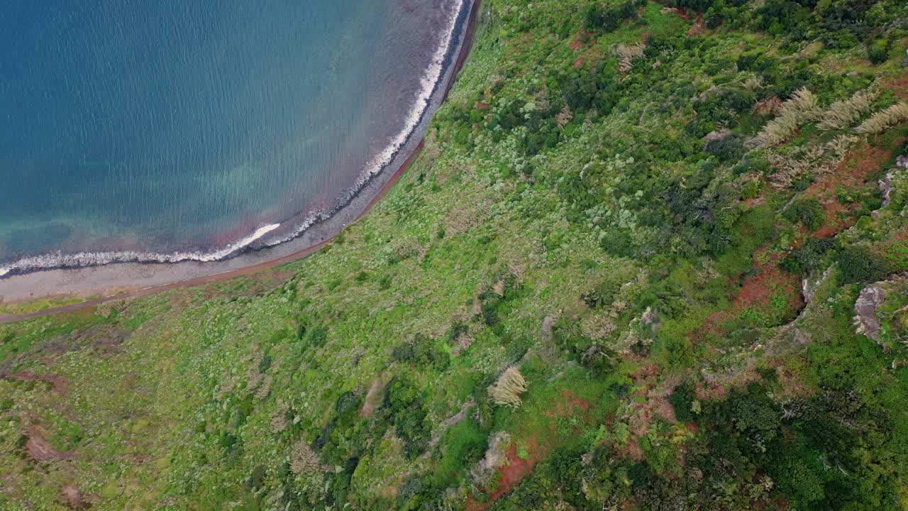 Aerial view of coastline with lush vegetation