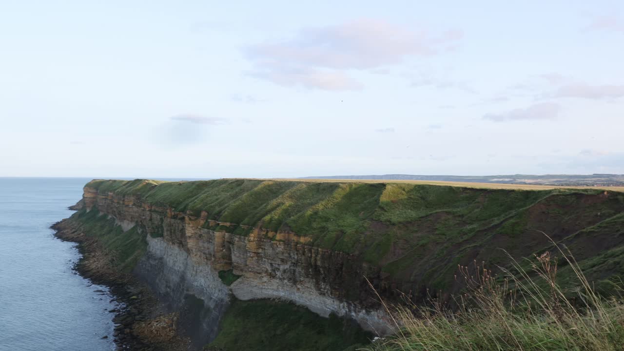 toma panorámica de un gran acantilado en la costa de yorkshire con aves migratorias