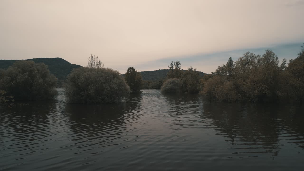 Alberi sommersi nelle acque calme di un lago con paesaggio montuoso