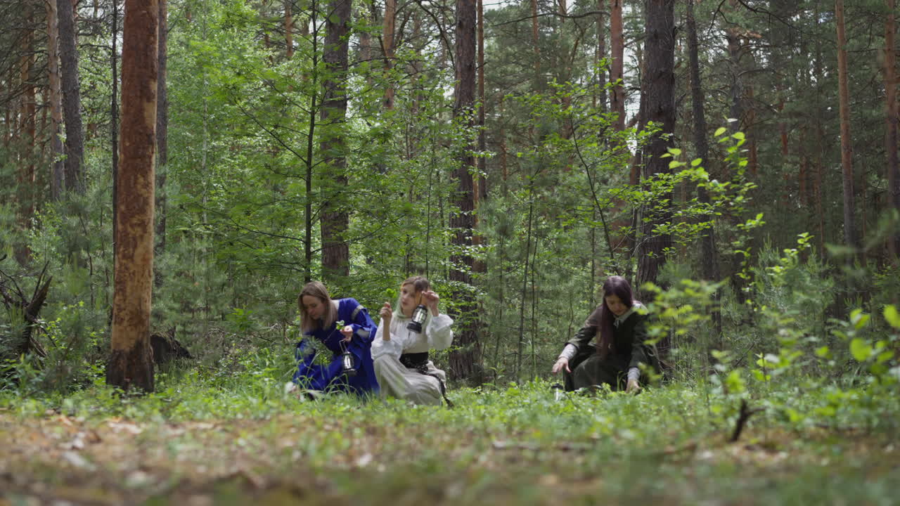 손에 등불을 들고 있는 소녀들은 약초를 수집합니다.