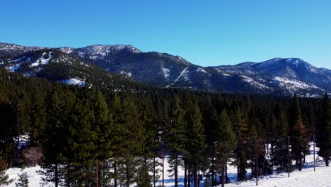 Aerial-drone-shot,-ascending-over-pine-trees-and-revealing-the-mountains-in-Lake-Tahoe,-Nevada-California