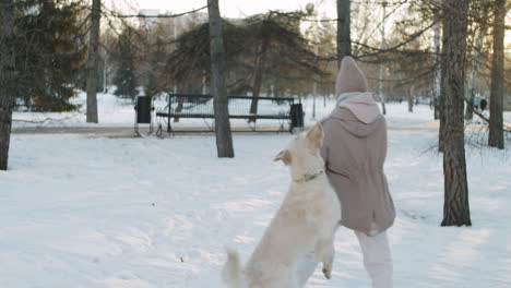 woman playing with her dog in a snowy park