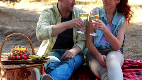 pareja tomando vino en una granja de olivos 4k
