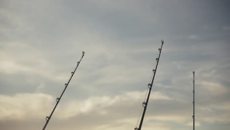 static shot showing the upper tips of fishing rods pointing into the sky, with soft clouds and natural daylight in the background.