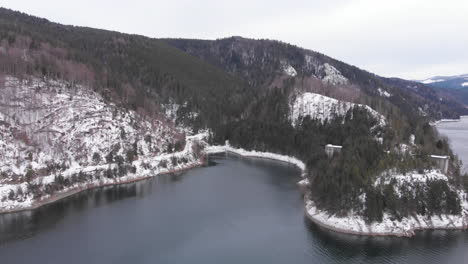 aerial view with a portion of the lake and forest from valea draganului at winter time romania