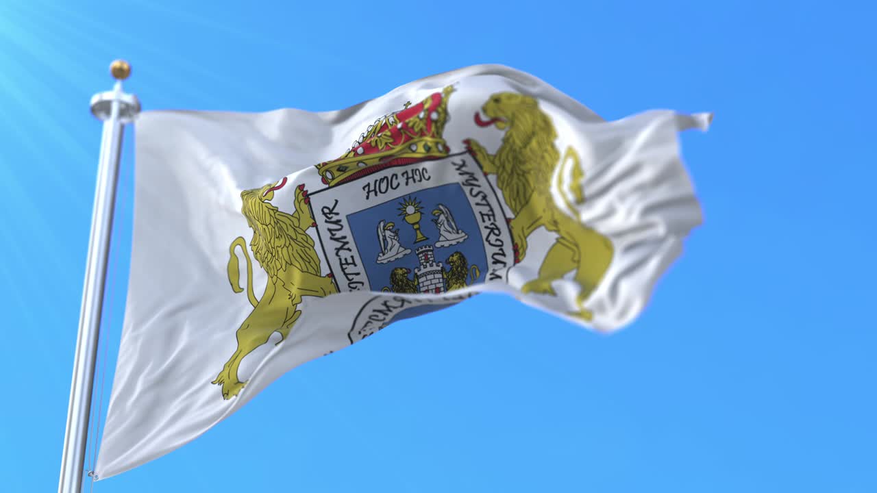 bandera de la ciudad española de lugo en galicia, españa - bucle