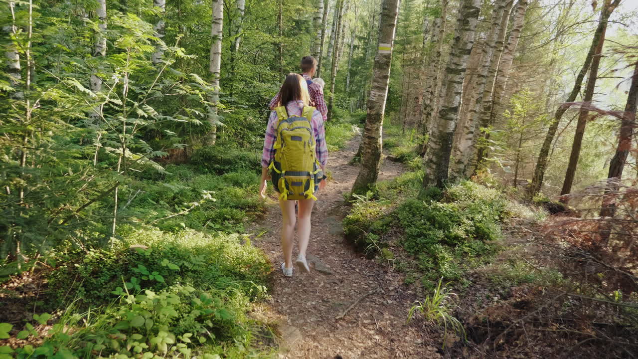 jóvenes turistas con mochilas caminan por un sendero en el bosque