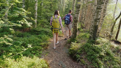 young tourists with backpacks walk along a trail in the forest