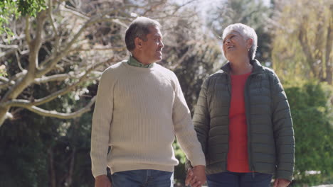 Happy-senior-couple-enjoying-retirement-outdoors