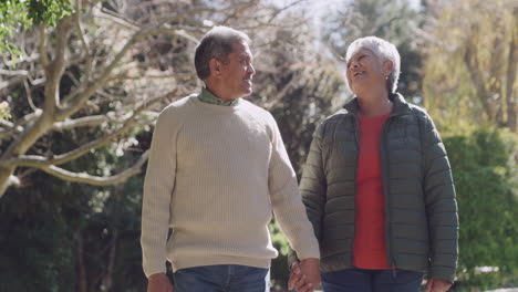 happy senior couple enjoying retirement outdoors